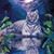 Juanita Sandlsaz's profile image