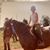 Jeanne Sweeney's profile image