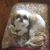 Mary Michaels Malin's profile image