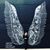Kellie Brown's profile image
