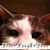 Kitty Jones's profile image