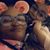 Tabitha FabbTabb Akanbi's profile image