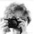 Anita Carter Glockner's profile image