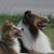 Lynne Bockelman's profile image
