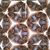 Sara Salahi's profile image