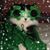 Betsey Hahn's profile image