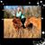 Karen Mccoy-Reid's profile image