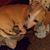 Bonnie Bryden's profile image