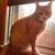 Dianne Bousquet's profile image