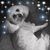 Fern Rowe's profile image
