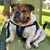 Holly Montone's profile image