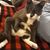Edye Humphrey Dunne's profile image