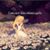 Heather Cook-Hoggatt's profile image