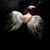 Jacob James's profile image