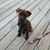 Jodee Jerry Burkart's profile image