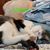 Tracy R Jenkins's profile image