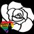 Corey O'Connor's profile image
