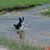 Earl Etter's profile image