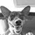 Jo James Dukes's profile image