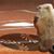 Nancy Mitchell's profile image