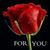 Johnny W Dyer's profile image