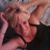 Summer Mckee's profile image