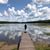 Julia Braaten's profile image