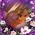 Jackie Jacobs Harris's profile image
