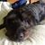 Charlene Holland Goering's profile image