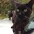 Lorraine Johnson's profile image