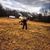 Farmer G Ranucci's profile image