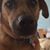 Linnea Ista's profile image