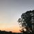 Mandy Franklin's profile image