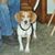 Glenn Jr Miller's profile image
