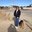 Laura Lacina's profile image