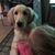 Karen Marie Spencer's profile image