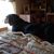 Cindy Linman's profile image