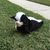 David Bohrer's profile image