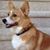 Bonny Siekman's profile image
