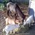 Denise Moore's profile image