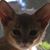 Lorayne Witte Burley's profile image