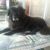 Hedy Zikratch-Tyson's profile image