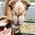 Amy Hook's profile image