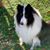 Pam Nix's profile image