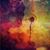 Cynthia Munoz's profile image