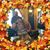 Rikki Dandy's profile image