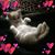 Nancy Filbert's profile image