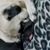 Andi Crider Owen's profile image