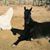 Nancy Schmidt's profile image