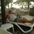 Corona JBuffett's profile image